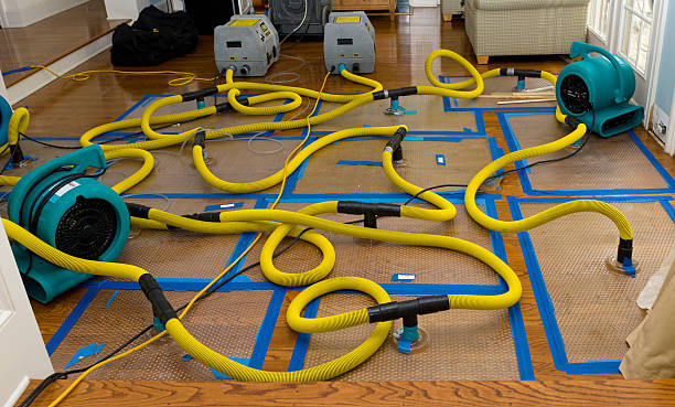 Professional Water Extraction technician working in Morehead City, NC